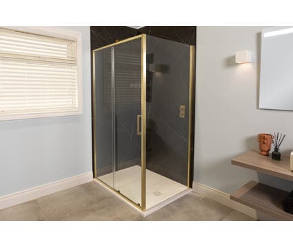 6 Series Sleek Sliding Shower Door